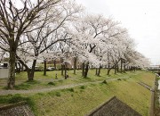 春日井ふれあい緑道