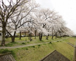 春日井ふれあい緑道